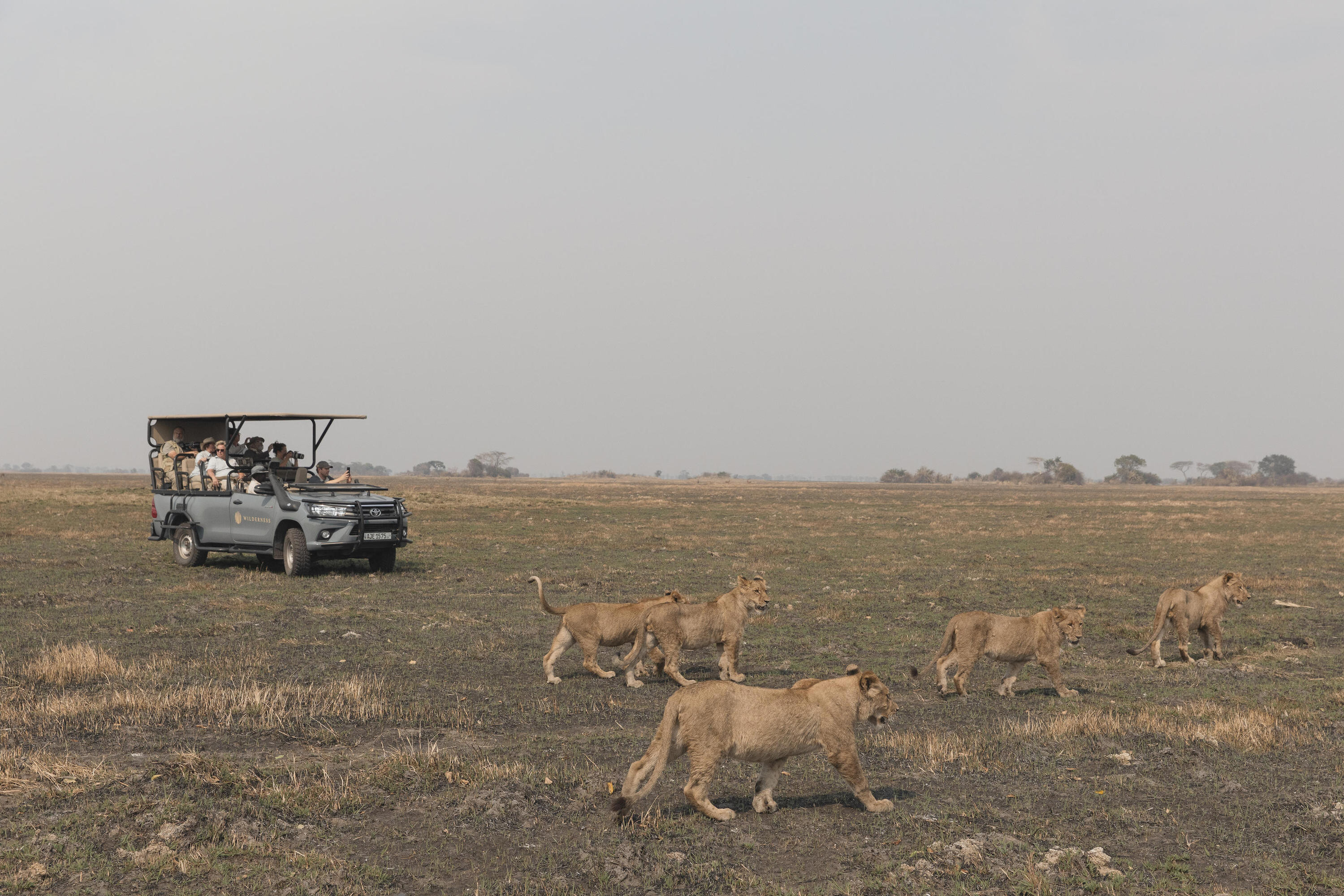 Game Drives in Zambia